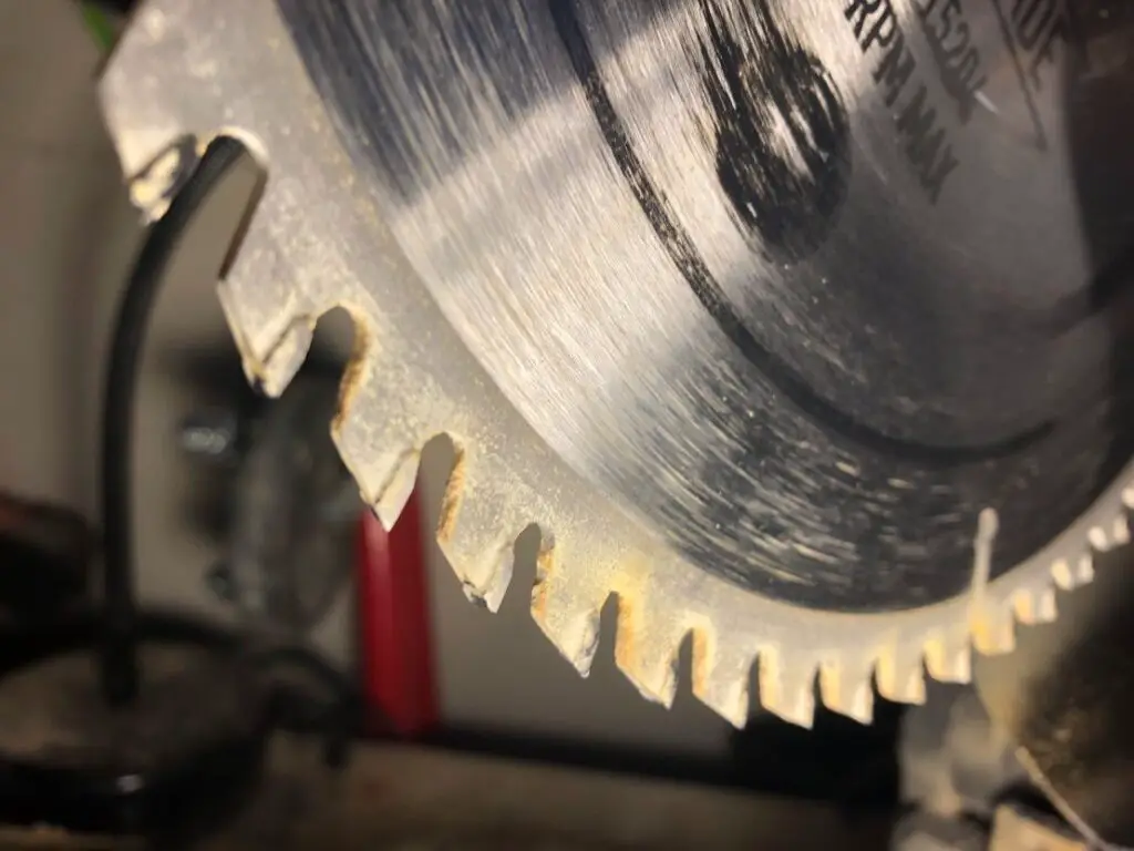 miter saw blade teeth