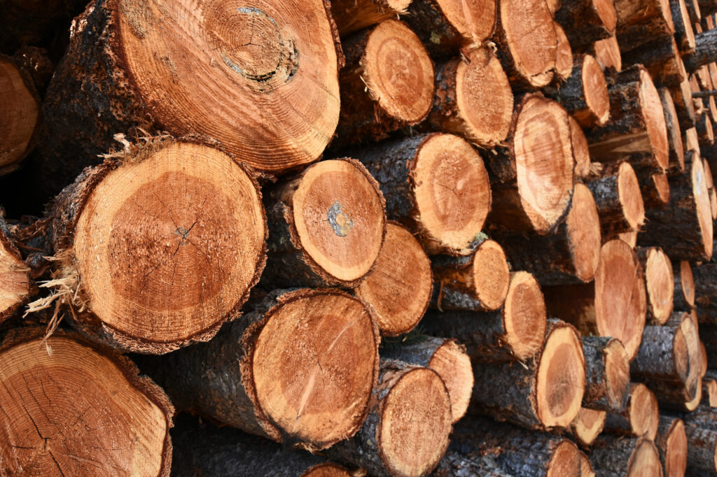 How To Dry Sunken Logs