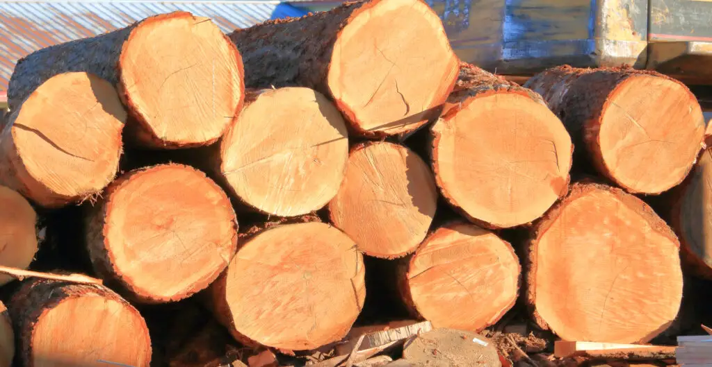 how much does cedar wood shrink